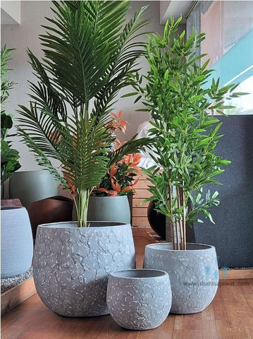 Grey And White Glazed Like Bowl Shaped FRP (Fiberglass) Indoor And Outdoor Planters Are Lightweight, Durable, Weather Resistant, UV Resistant Made For Residential And Commercial Spaces, Available Exclusively On Shahi Sajawat India, the world of home decor products. Best trendy home decor, office decor, restaurant decor living room, kitchen and bathroom decor ideas of 2024.