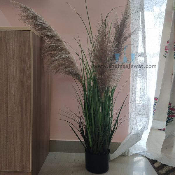 Decorative Real Like, Real Touch Nearly Natural Artificial (Faux) Rustic Pampa Grass 3 Heads Plant Of Size 4ft, Made Of Plastic With Zero Maintenance, Available Exclusively At Shahisajawat India. Best Trendy Home Decor, Restaurant Decor, Office Decor Ideas Of 2024.