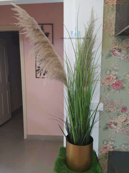 Decorative Real Like, Real Touch Nearly Natural Artificial (Faux) Rustic Pampa Grass 3 Heads Plant Of Size 4ft, Made Of Plastic With Zero Maintenance, Available Exclusively At Shahisajawat India. Best Trendy Home Decor, Restaurant Decor, Office Decor Ideas Of 2024.