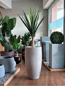 White Smooth Vase Shaped FRP (Fiberglass) Indoor And Outdoor Planters Are Lightweight, Durable, Weather Resistant, UV Resistant Made For Residential And Commercial Spaces, Available Exclusively On Shahi Sajawat India, the world of home decor products. Best trendy home decor, office decor, restaurant decor living room, kitchen and bathroom decor ideas of 2024.