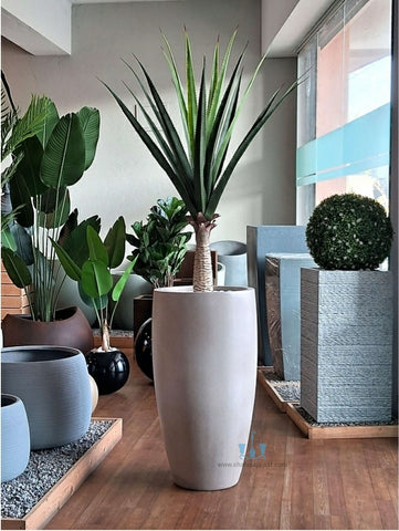 White Smooth Vase Shaped FRP (Fiberglass) Indoor And Outdoor Planters Are Lightweight, Durable, Weather Resistant, UV Resistant Made For Residential And Commercial Spaces, Available Exclusively On Shahi Sajawat India, the world of home decor products. Best trendy home decor, office decor, restaurant decor living room, kitchen and bathroom decor ideas of 2024.