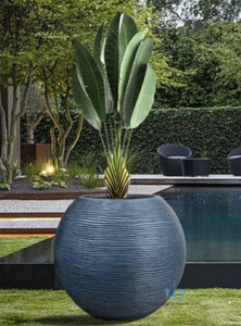 Large Ribbed Globe Shaped FRP (Fiberglass) Indoor And Outdoor Planters Are Lightweight, Durable, Weather Resistant, UV Resistant Made For Residential And Commercial Spaces, Available Exclusively On Shahi Sajawat India, the world of home decor products. Best trendy home decor, office decor, restaurant decor, hotel decor, airports, mall decor ideas of 2024.