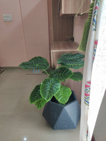 Decorative Real Like, Real Touch Nearly Natural Artificial (Faux) Alocasia Plant Of Size 2.8ft, Made Of Plastic With Zero Maintenance, Available Exclusively At Shahisajawat India. Best Trendy Home Decor, Restaurant Decor, Office Decor, Mall, Airport Decor Ideas Of 2024.