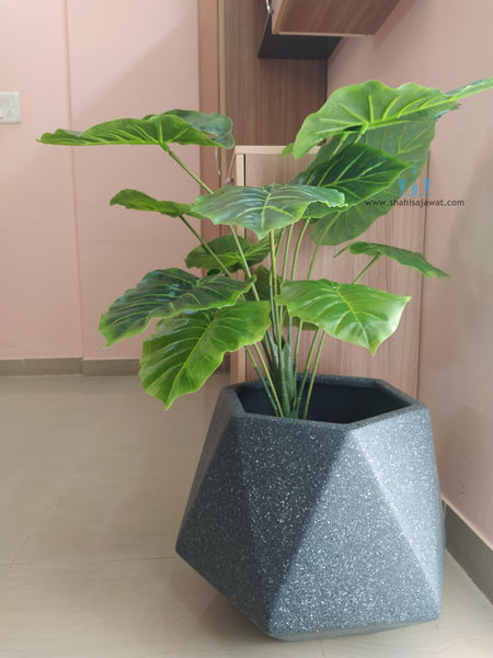 Decorative Real Like, Real Touch Nearly Natural Artificial (Faux) Alocasia Plant Of Size 2.8ft, Made Of Plastic With Zero Maintenance, Available Exclusively At Shahisajawat India. Best Trendy Home Decor, Restaurant Decor, Office Decor, Mall, Airport Decor Ideas Of 2024.