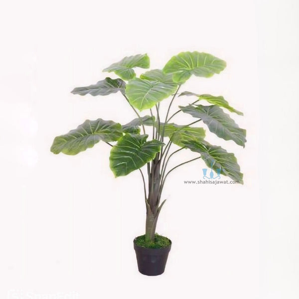 Decorative Real Like, Real Touch Nearly Natural Artificial (Faux) Alocasia Plant Of Size 2.8ft, Made Of Plastic With Zero Maintenance, Available Exclusively At Shahisajawat India. Best Trendy Home Decor, Restaurant Decor, Office Decor, Mall, Airport Decor Ideas Of 2024.