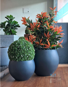 Black Flattened Globe Shaped FRP (Fiberglass) Indoor And Outdoor Planters Are Lightweight, Durable, Weather Resistant, UV Resistant Made For Residential And Commercial Spaces, Available Exclusively On Shahi Sajawat India, the world of home decor products. Best trendy home decor, office decor, restaurant decor, hotel decor, airports, mall decor ideas of 2024.