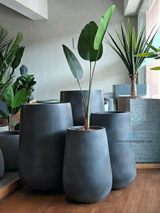 Black Vase Shaped FRP (Fiberglass) Indoor And Outdoor Planters Are Lightweight, Durable, Weather Resistant, UV Resistant Made For Residential And Commercial Spaces, Available Exclusively On Shahi Sajawat India, the world of home decor products. Best trendy home decor, office decor, restaurant decor, malls, airports, hotels and resort decor ideas of 2024.