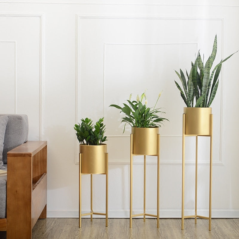 Classy Gold Iron Planters